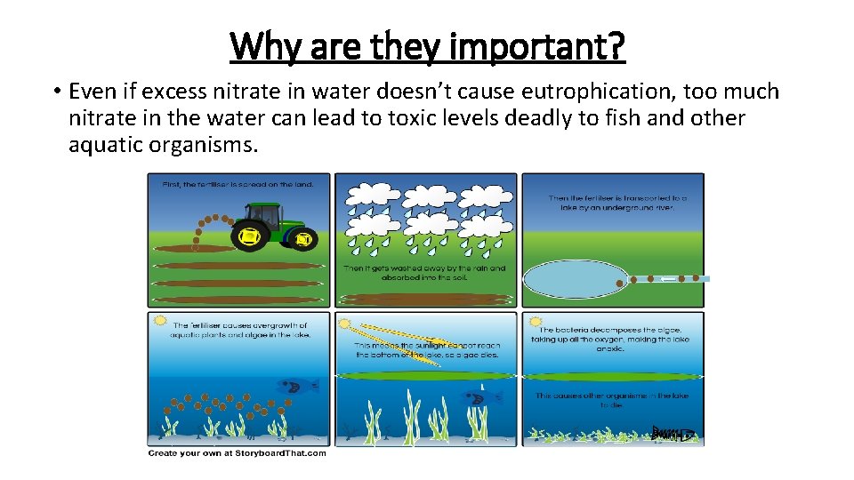 Why are they important? • Even if excess nitrate in water doesn’t cause eutrophication,