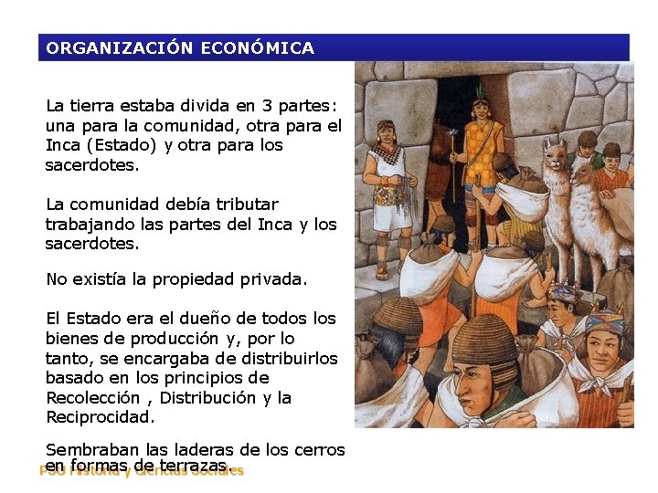 ORGANIZACIÓN ECONÓMICA La tierra estaba divida en 3 partes: una para la comunidad, otra