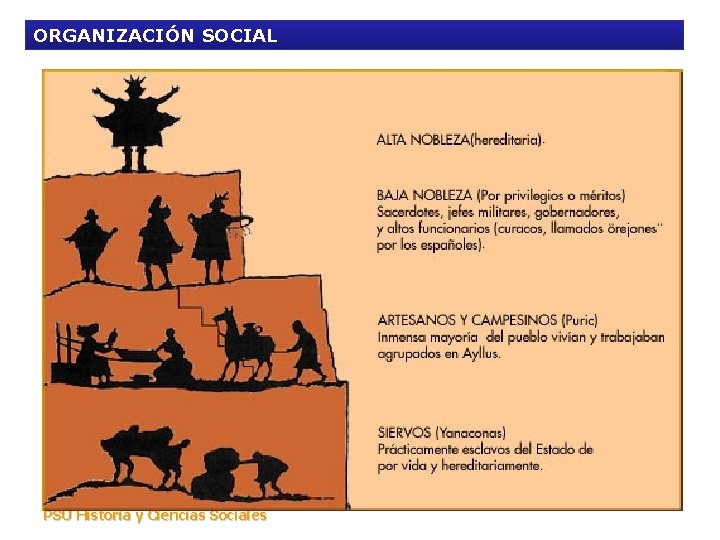 ORGANIZACIÓN SOCIAL PSU Historia y Ciencias Sociales 