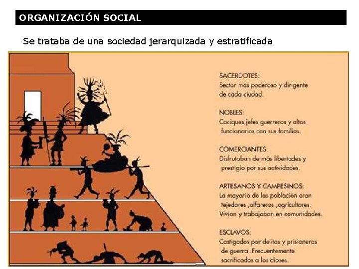 ORGANIZACIÓN SOCIAL Se trataba de una sociedad jerarquizada y estratificada PSU Historia y Ciencias