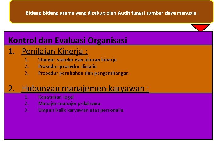 Bidang-bidang utama yang dicakup oleh Audit fungsi sumber daya manusia : Kontrol dan Evaluasi