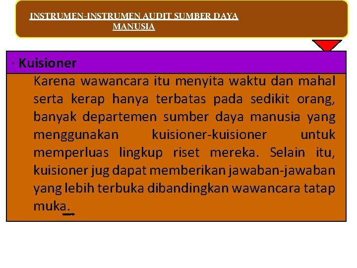 INSTRUMEN-INSTRUMEN AUDIT SUMBER DAYA MANUSIA · Kuisioner Karena wawancara itu menyita waktu dan mahal