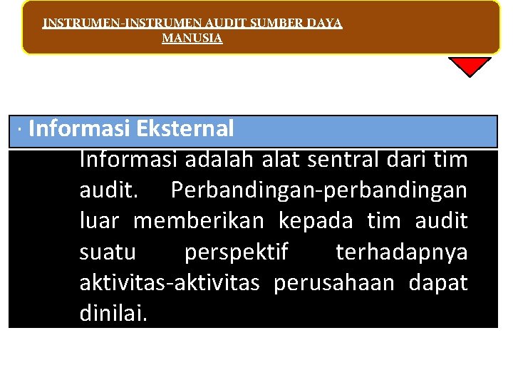 INSTRUMEN-INSTRUMEN AUDIT SUMBER DAYA MANUSIA · Informasi Eksternal Informasi adalah alat sentral dari tim