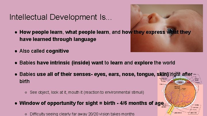 Intellectual Development Is. . . ● How people learn, what people learn, and how