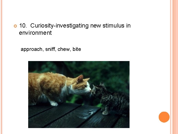  10. Curiosity-investigating new stimulus in environment approach, sniff, chew, bite 