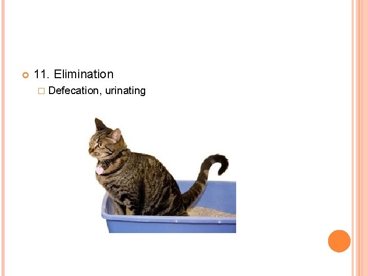  11. Elimination � Defecation, urinating 