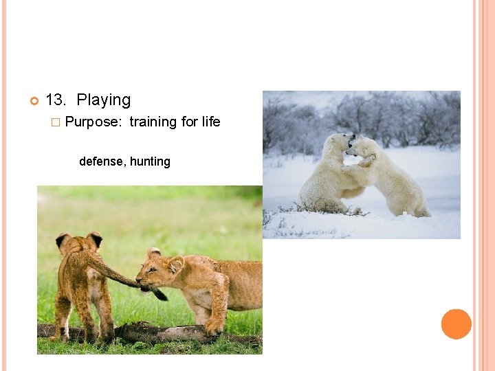  13. Playing � Purpose: training for life defense, hunting 