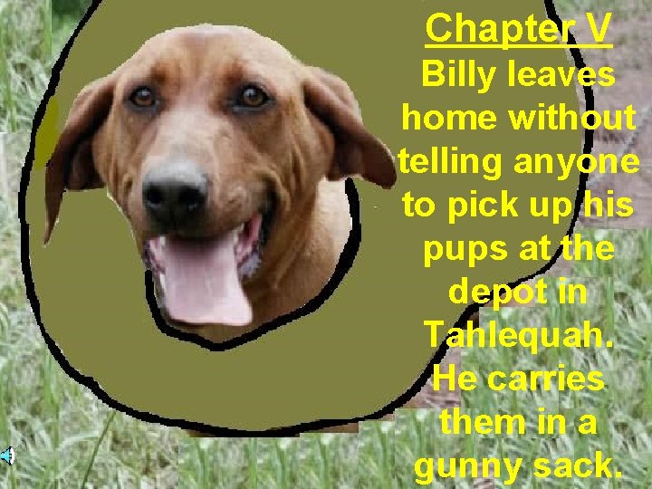 Chapter V Billy leaves home without telling anyone to pick up his pups at
