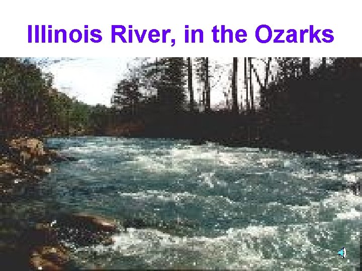 Illinois River, in the Ozarks 