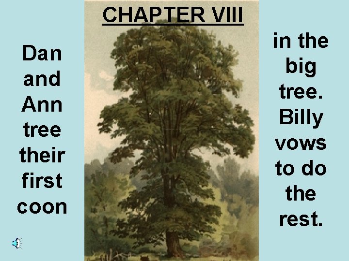 CHAPTER VIII Dan and Ann tree their first coon in the big tree. Billy