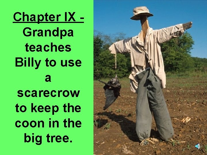 Chapter IX Grandpa teaches Billy to use a scarecrow to keep the coon in