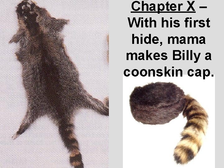 Chapter X – With his first hide, mama makes Billy a coonskin cap. 