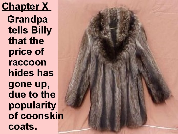 Chapter X Grandpa tells Billy that the price of raccoon hides has gone up,