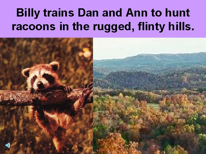 Billy trains Dan and Ann to hunt racoons in the rugged, flinty hills. 