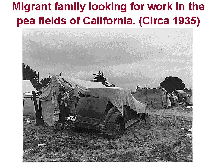 Migrant family looking for work in the pea fields of California. (Circa 1935) 