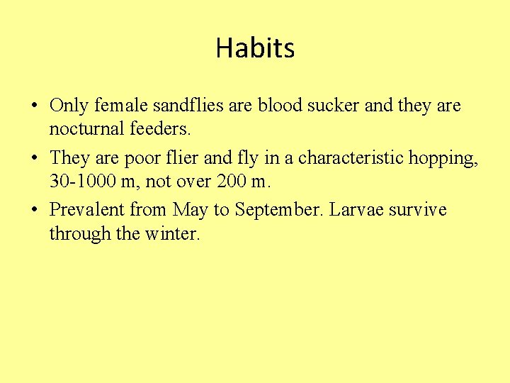 Habits • Only female sandflies are blood sucker and they are nocturnal feeders. •