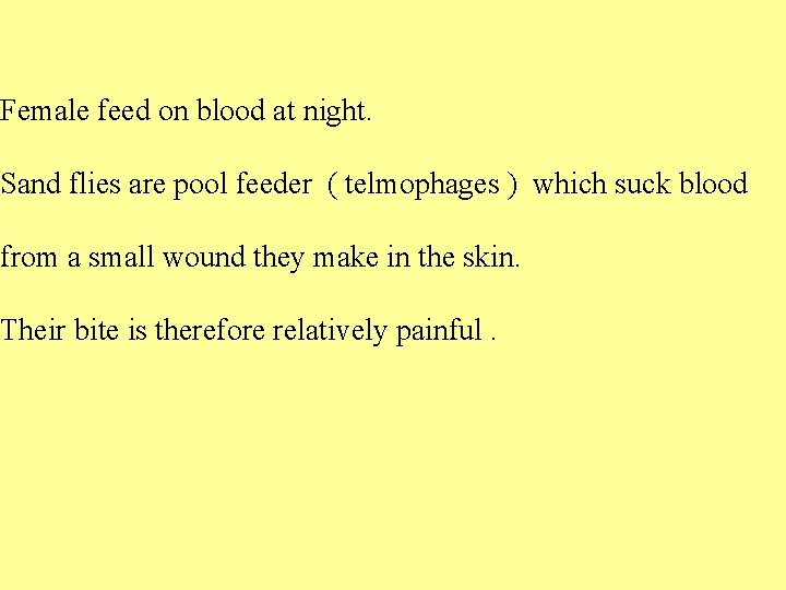 Female feed on blood at night. Sand flies are pool feeder ( telmophages )
