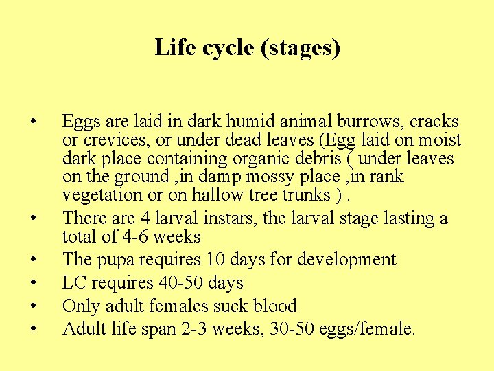 Life cycle (stages) • • • Eggs are laid in dark humid animal burrows,