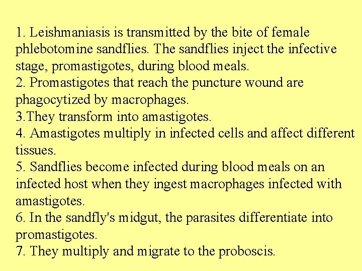 1. Leishmaniasis is transmitted by the bite of female phlebotomine sandflies. The sandflies inject