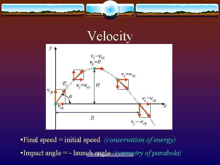 Velocity • Final speed = initial speed (conservation of energy) • Impact angle =