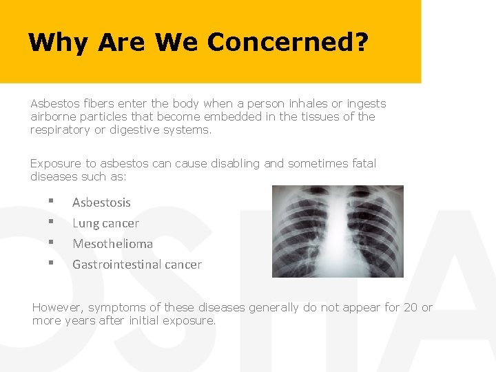 Why Are We Concerned? Asbestos fibers enter the body when a person inhales or