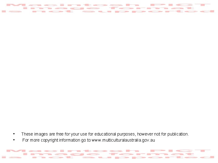  • • These images are free for your use for educational purposes, however