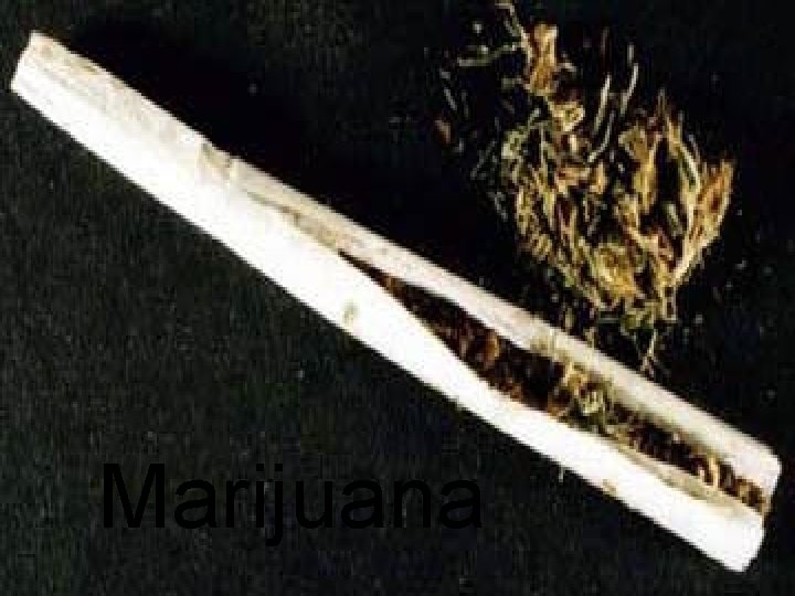 Marijuana 