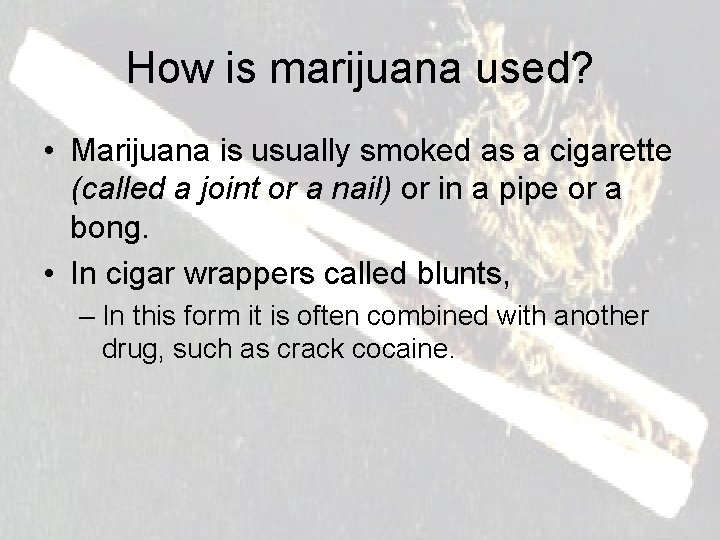 How is marijuana used? • Marijuana is usually smoked as a cigarette (called a