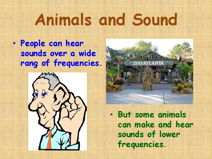 Animals and Sound • People can hear sounds over a wide rang of frequencies.