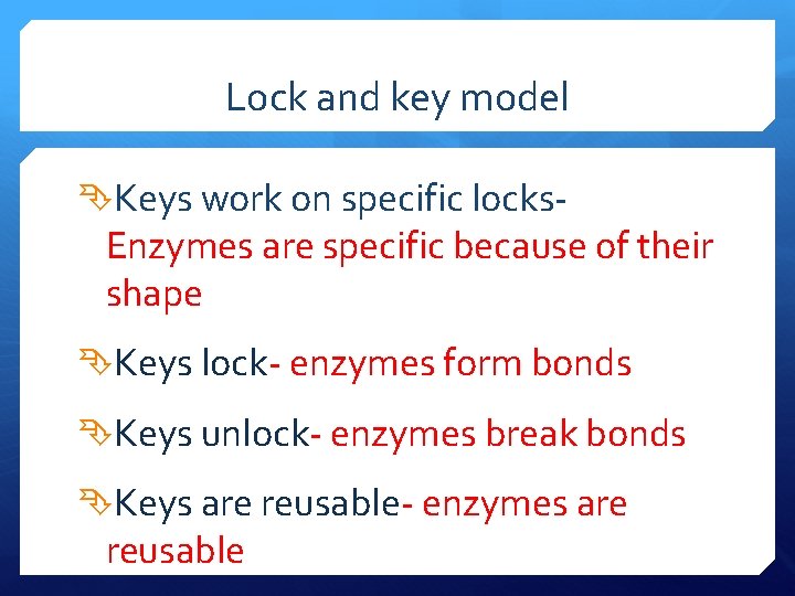 Lock and key model Keys work on specific locks- Enzymes are specific because of