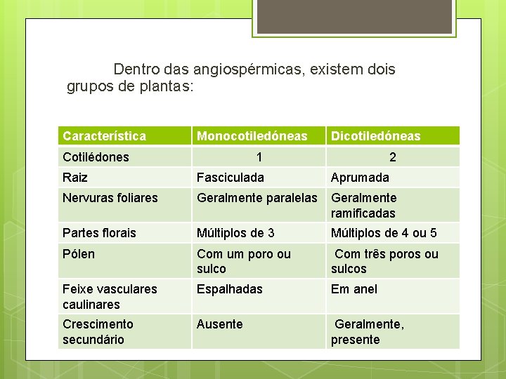 Dentro das angiospérmicas, existem dois grupos de plantas: Característica Monocotiledóneas Cotilédones Dicotiledóneas 1 2