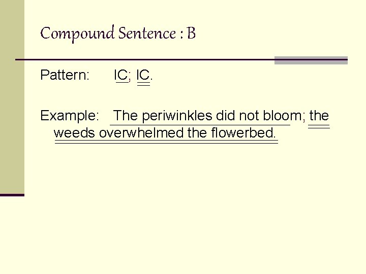 Compound Sentence : B Pattern: IC; IC. Example: The periwinkles did not bloom; the