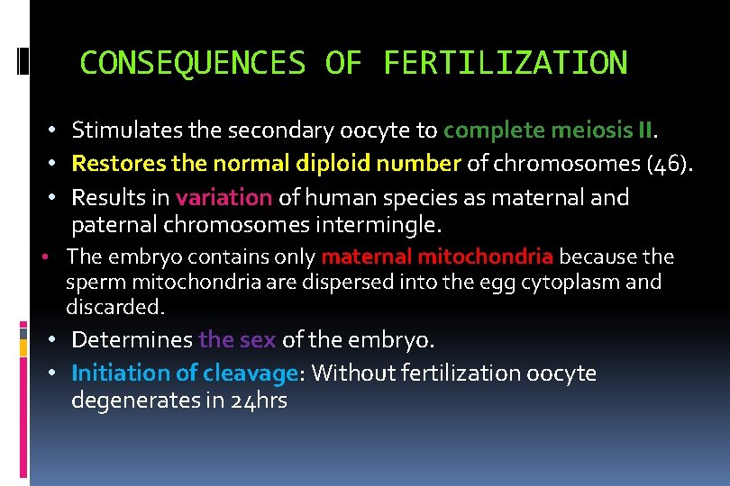 CONSEQUENCES OF FERTILIZATION • Stimulates the secondary oocyte to complete meiosis II. • Restores