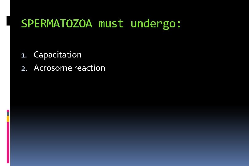 SPERMATOZOA must undergo: 1. Capacitation 2. Acrosome reaction 