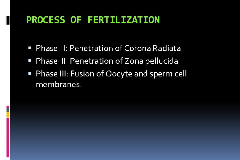 PROCESS OF FERTILIZATION Phase I: Penetration of Corona Radiata. Phase II: Penetration of Zona
