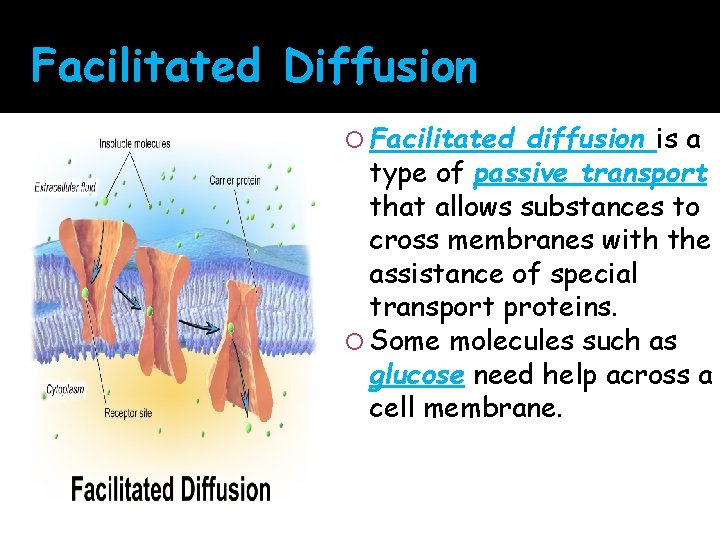 Facilitated Diffusion Facilitated diffusion is a type of passive transport that allows substances to