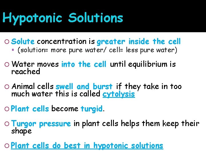 Hypotonic Solutions Solute concentration is greater inside the cell (solution= more pure water/ cell=