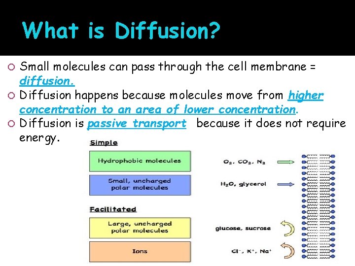 What is Diffusion? Small molecules can pass through the cell membrane = diffusion. Diffusion
