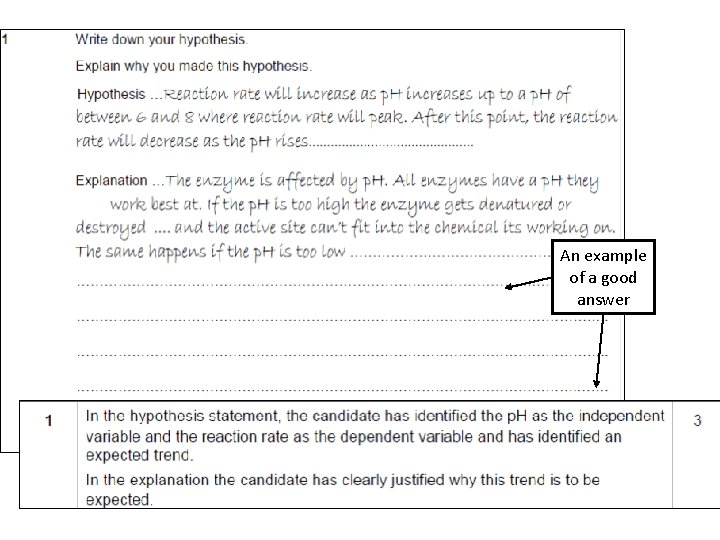 An example of a good answer 