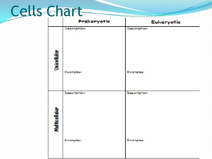 Cells Chart 