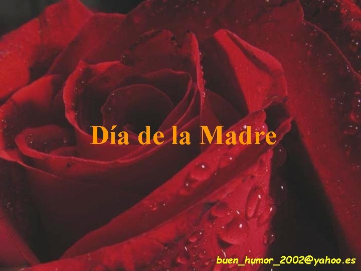 Día de la Madre buen_humor_2002@yahoo. es 