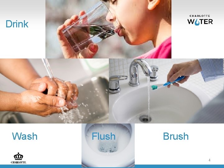 Drink Wash Flush Brush 4 