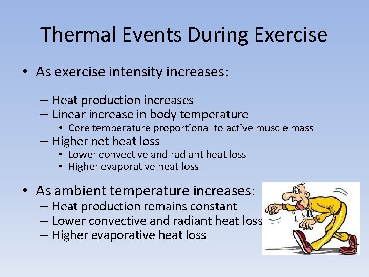 Thermal Events During Exercise • As exercise intensity increases: – Heat production increases –