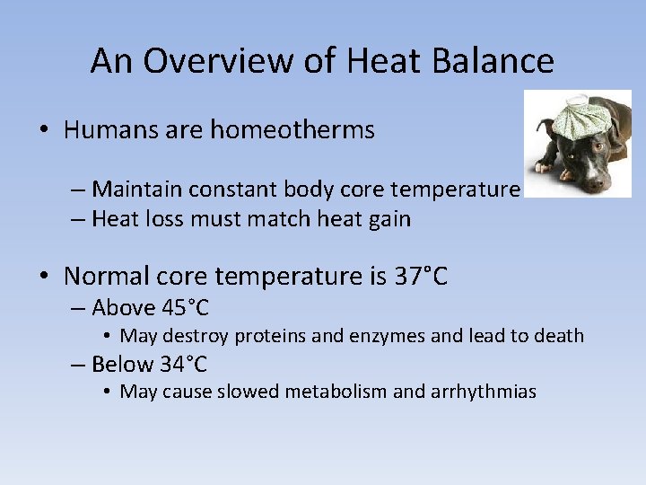 An Overview of Heat Balance • Humans are homeotherms – Maintain constant body core
