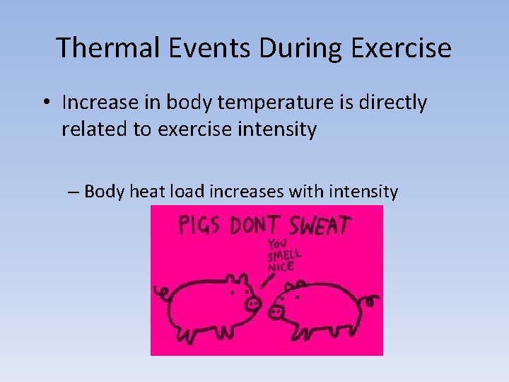 Thermal Events During Exercise • Increase in body temperature is directly related to exercise
