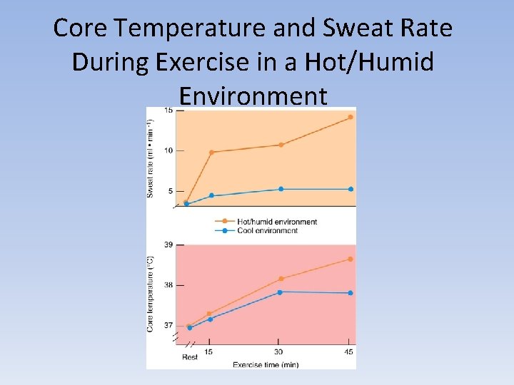 Core Temperature and Sweat Rate During Exercise in a Hot/Humid Environment 