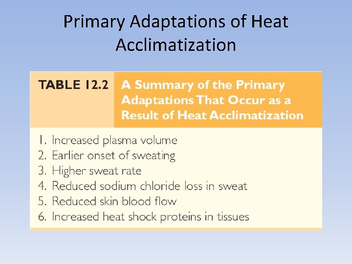 Primary Adaptations of Heat Acclimatization 