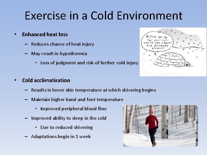 Exercise in a Cold Environment • Enhanced heat loss – Reduces chance of heat