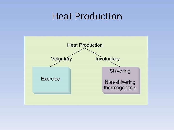 Heat Production 
