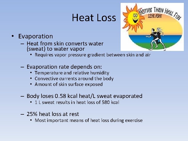Heat Loss • Evaporation – Heat from skin converts water (sweat) to water vapor